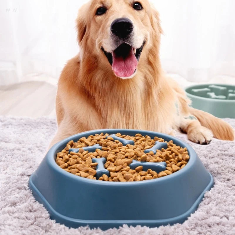 SlowBite™ – Pet Slow Food Bowl Anti-choking Feeder PP Plastic Dish Bowl Home Dog Eating 2