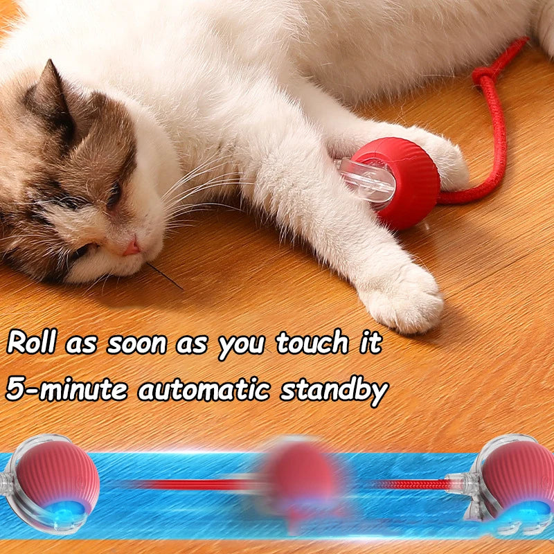 ChaseBall™ – Cat Interactive Ball Toy Automatic Rolling Ball Faux Tail Rechargeable 4
