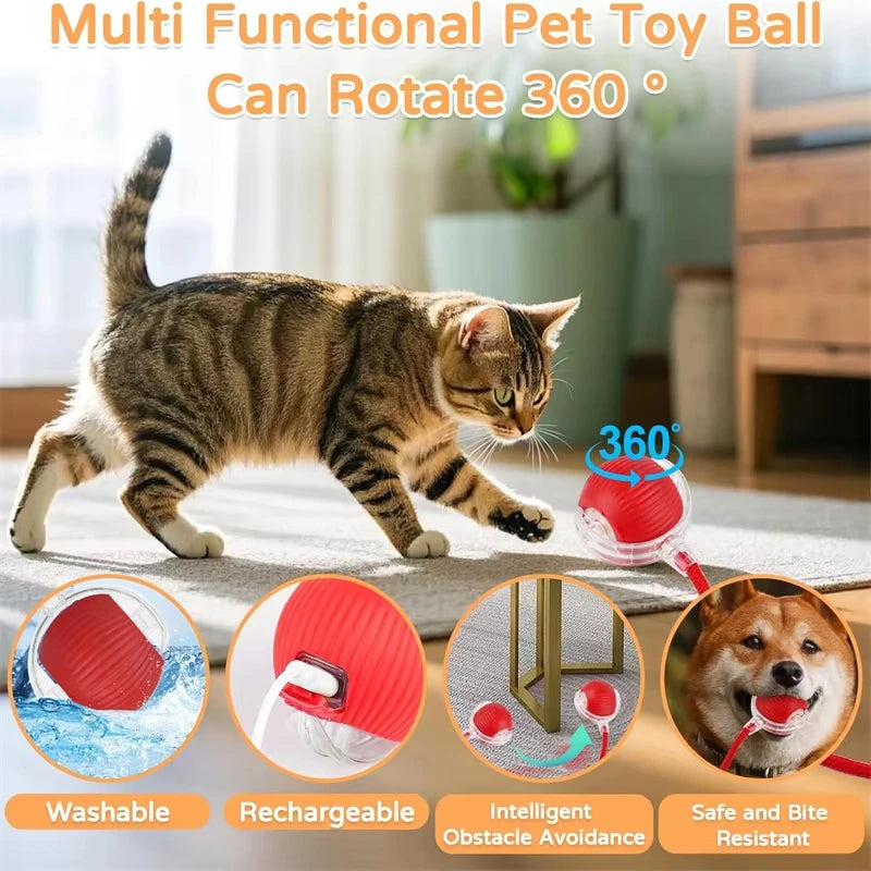 ChaseBall™ – Cat Interactive Ball Toy Automatic Rolling Ball Faux Tail Rechargeable 3