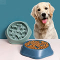SlowBite™ – Pet Slow Food Bowl Anti-choking Feeder PP Plastic Dish Bowl Home Dog Eating