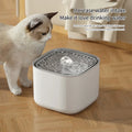 PurrFlow™ – 3L Cat Water Fountain Auto ERecirculate Filter Large Capacity Filtring Cat