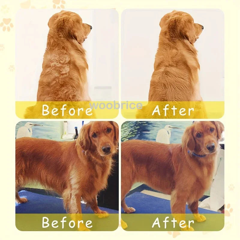 SteamBrush™ – Electric Dog Steamer Brush Grooming 3 in 1 Dog Steam Brush Pet Remove 3